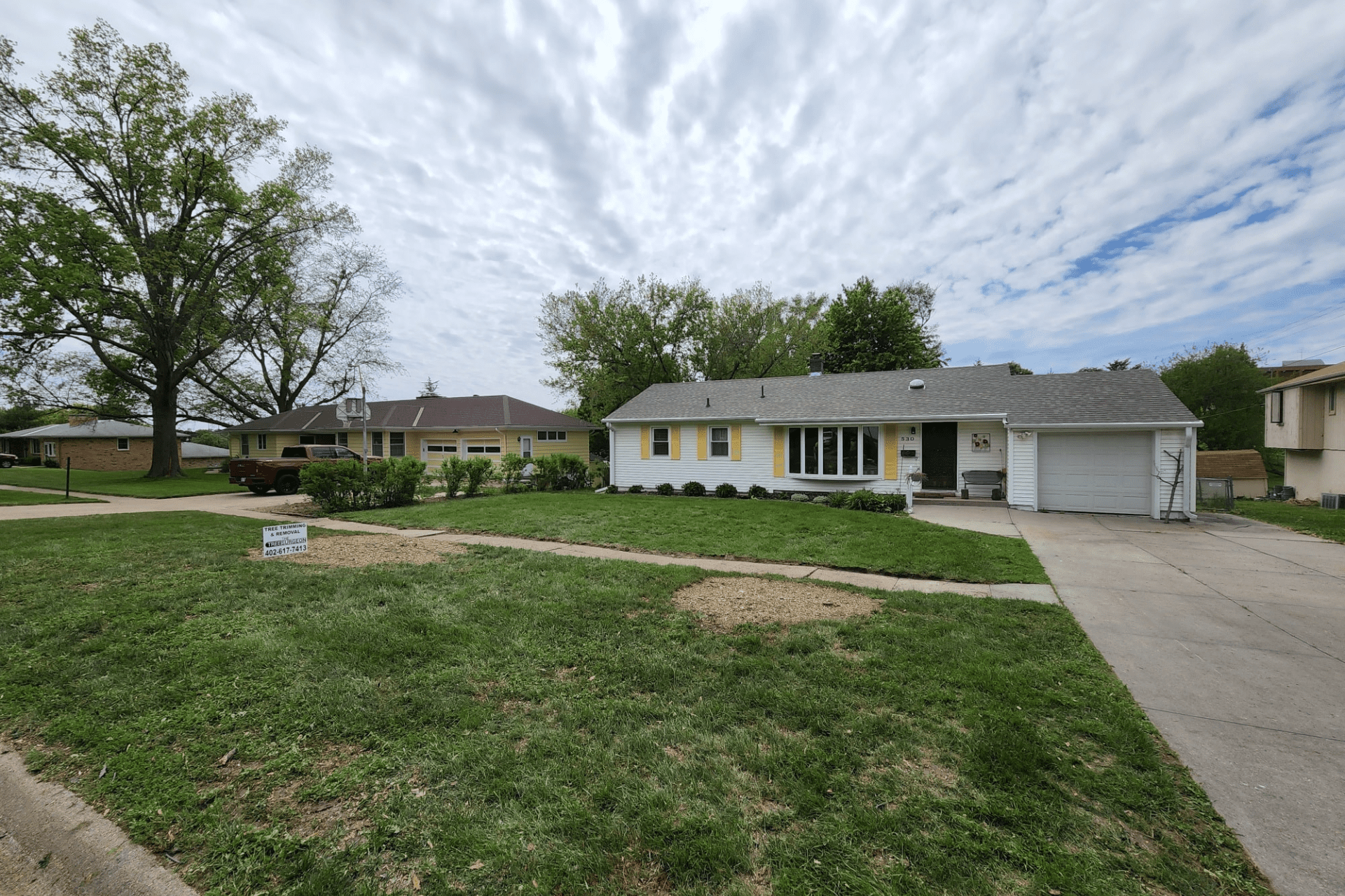 The Tree Surgeon Banner Image Home banner image