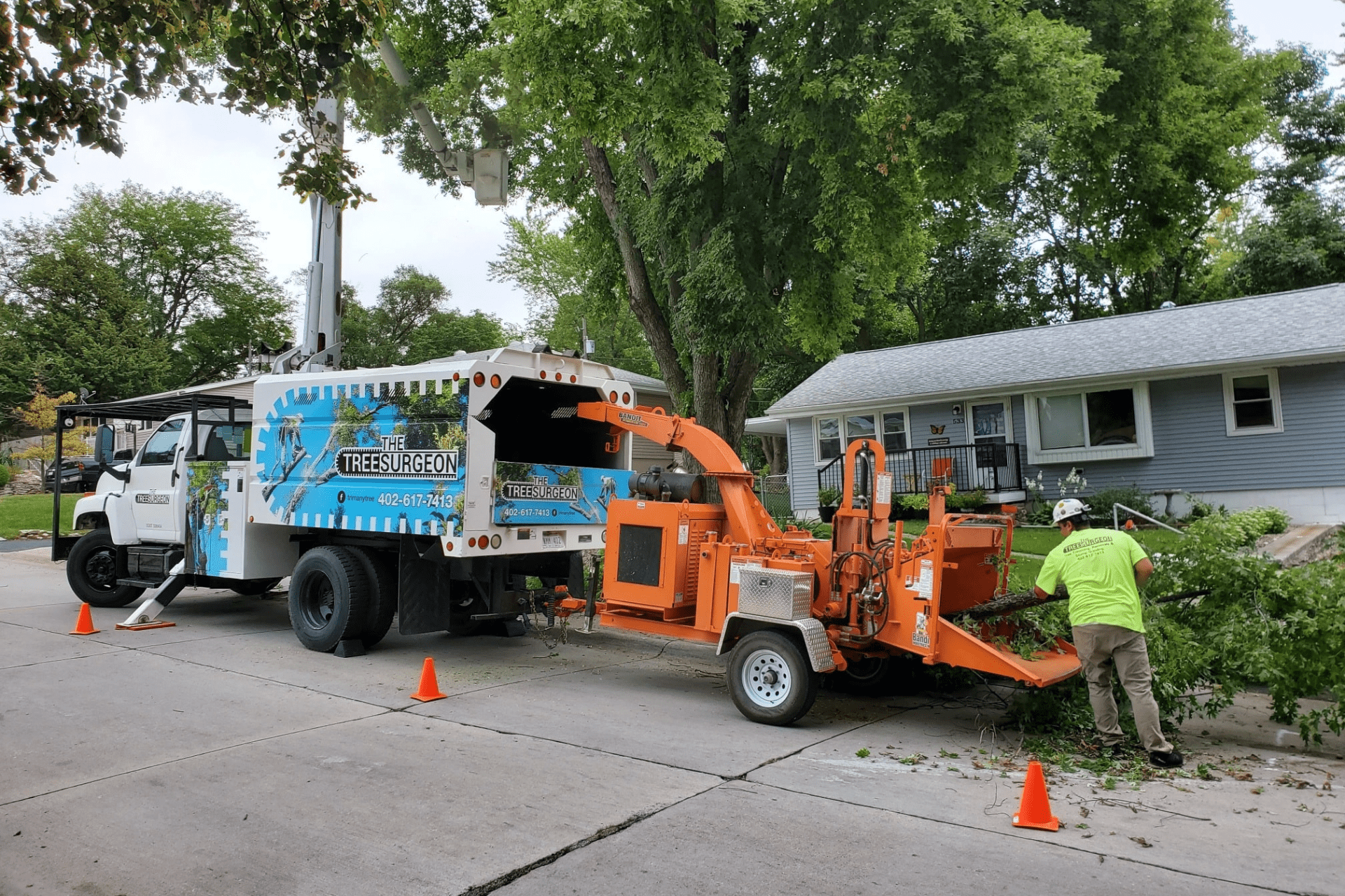 Tree News Banner Image